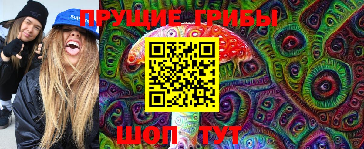 Псилоцибиновые грибы мицелий  Вход с VPN  Назрань 