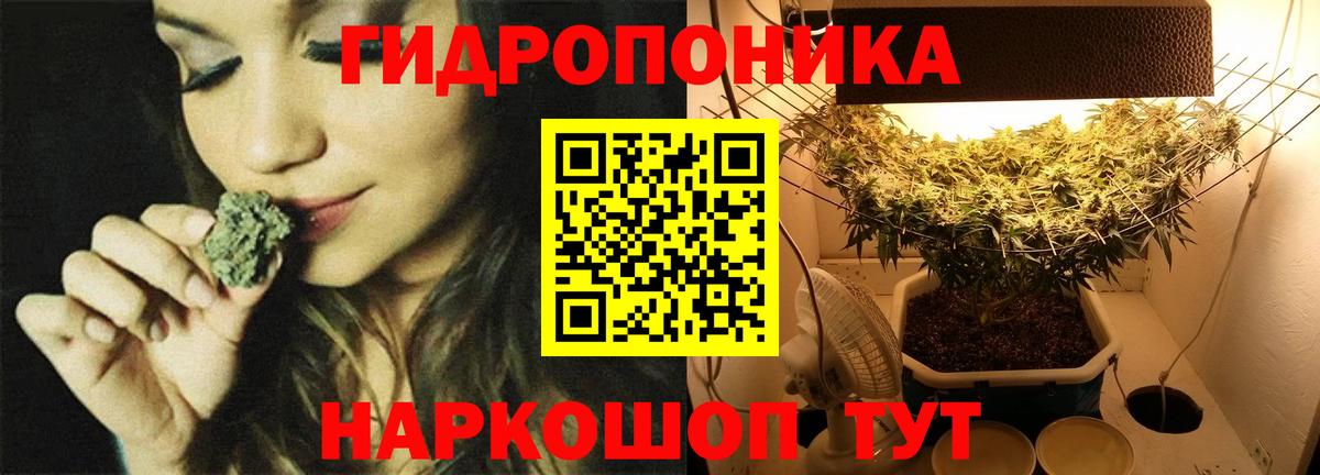 МАРИХУАНА план  Марихуана OG Kush  Назрань  Конопля тримм  Вход с VPN 